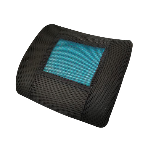 Memory Foam Lumbar Support Ryggdyna